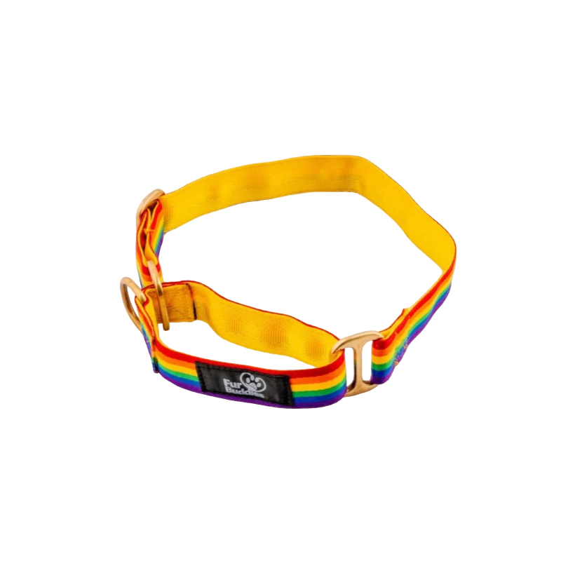 Furbuddies Collars For Dogs - Dhanak Martingale Collar