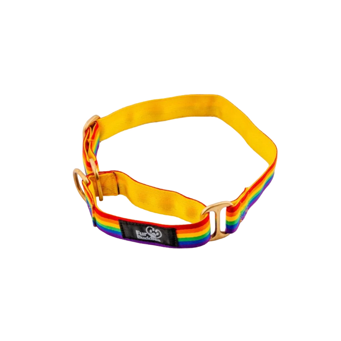 Furbuddies Collars For Dogs - Dhanak Martingale Collar