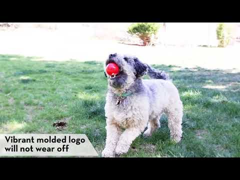 Kong Dog Toys - Signature Ball (Red)