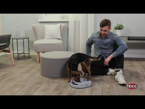 Trixie Dog Toys - Dog Activity Feed and Slide Strategy Game (Level 1)