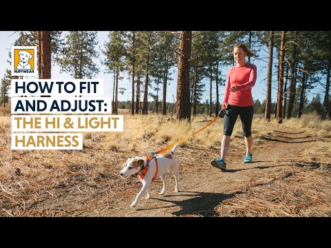 Ruffwear Harness for Dogs - Hi & Light