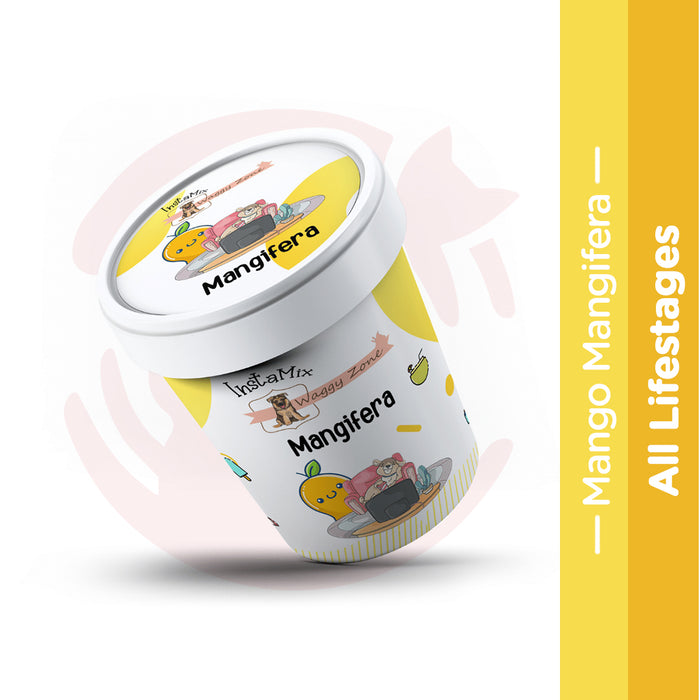 Waggy Zone Vegan Doggy Ice Cream Insta Mix - Mango Magnifera (40g)