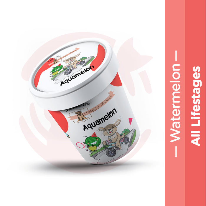 Waggy Zone Vegan Doggy Ice Cream Insta Mix - Aquamelon (40g)