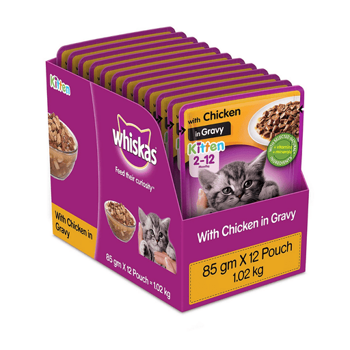 Whiskas Kitten (2-12 months) Wet Cat Food, Chicken in Gravy